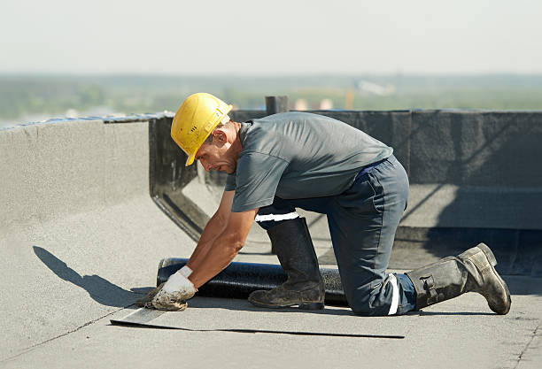 Best Geographic-Specific Insulation Services in Monteagle, TN